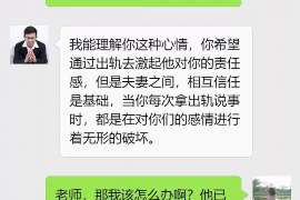 枝江侦探公司