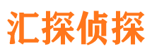 枝江侦探公司